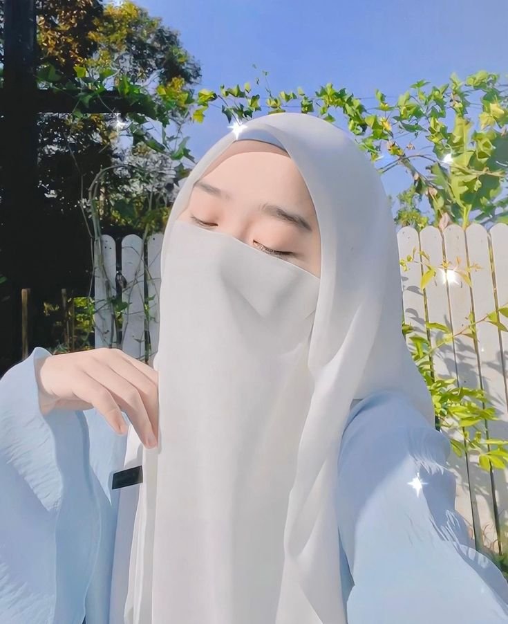 stylish instagram hijab dp