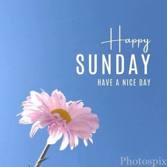 3 thoughts on “Good Morning Happy Sunday Images: HD Sunday Morning Photos”