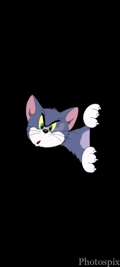 tom and jerry hd images