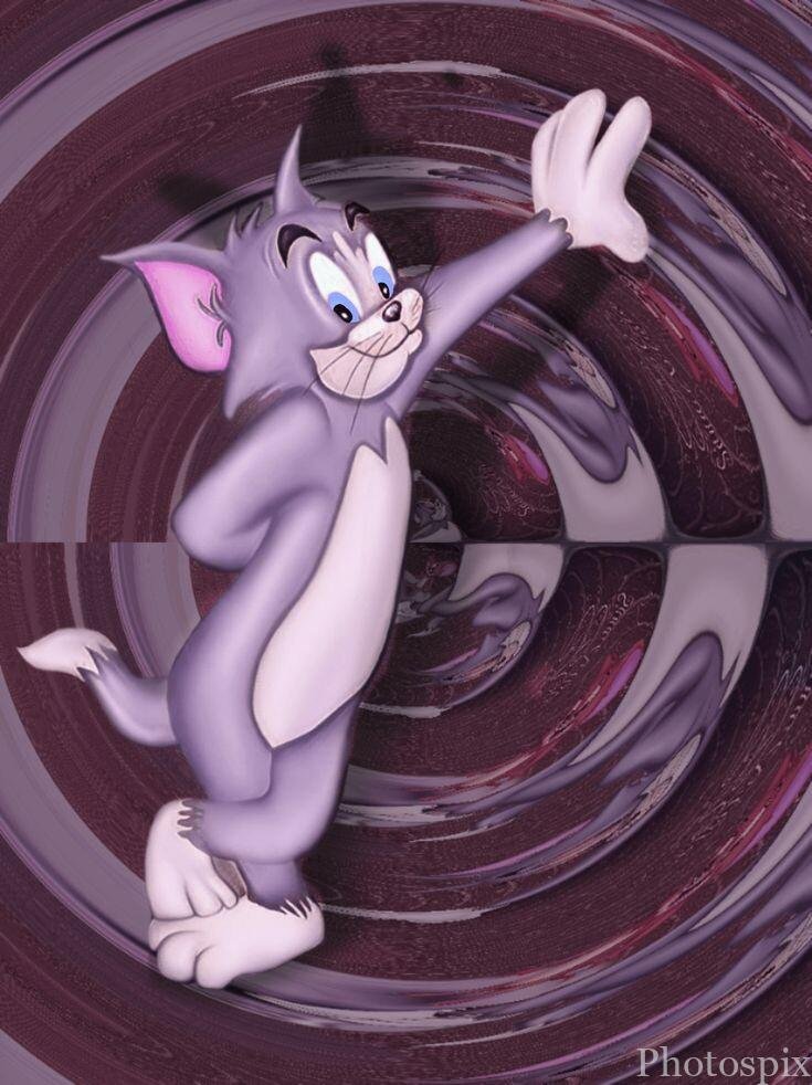 tom and jerry cartoon

