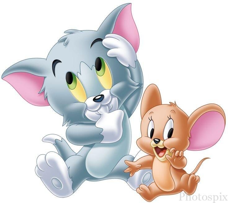 tom and jerry